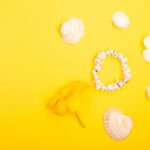 Reddybook Review: How This Platform is Transforming Digital Learning and Entertaining with 11xplay Integration